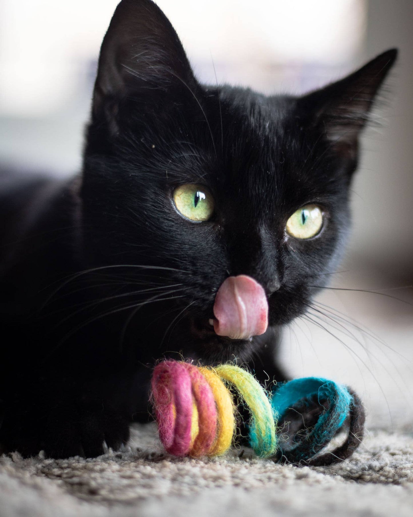 100% Wool Spring Cat Toys