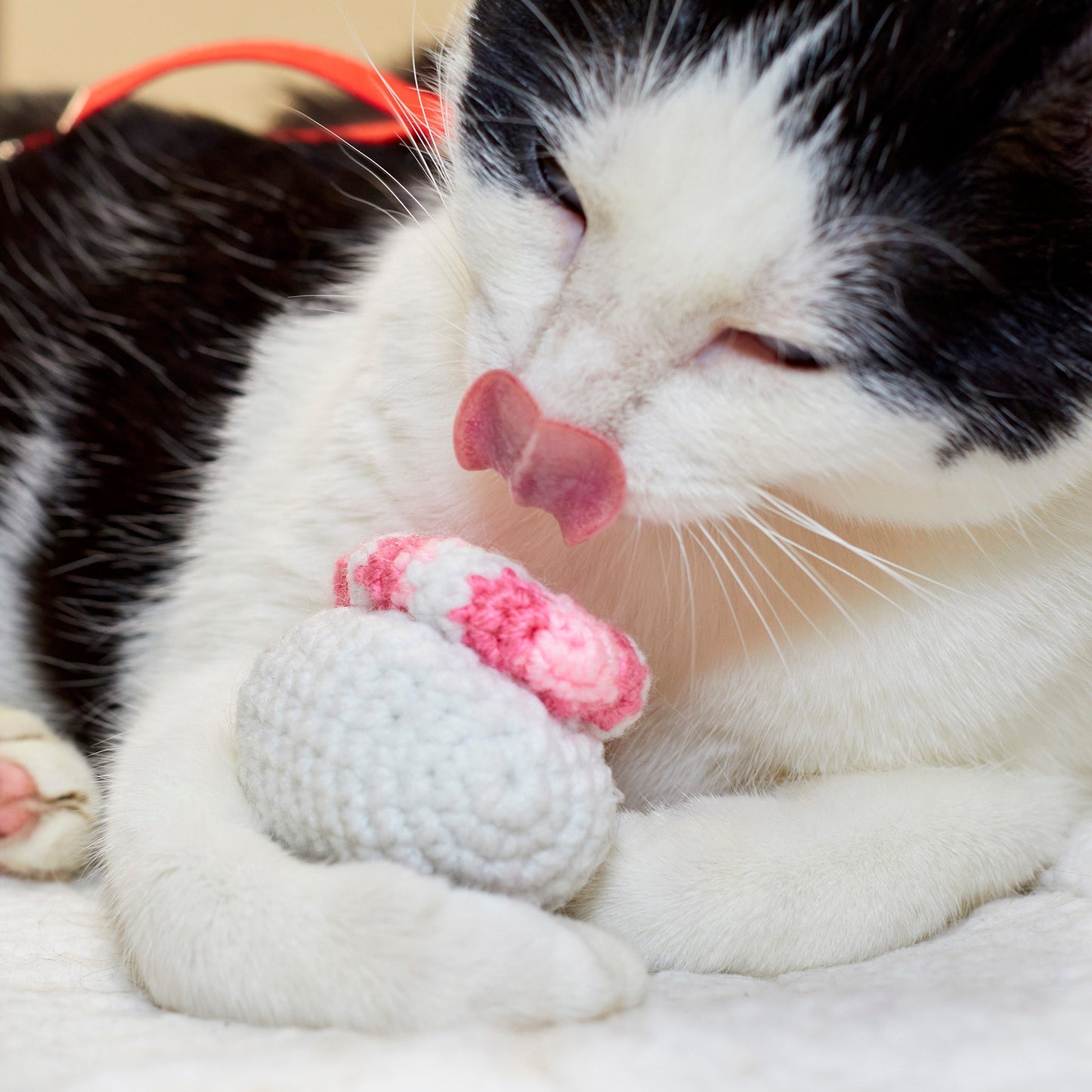 Ebi Nigiri Sushi Cat Toy