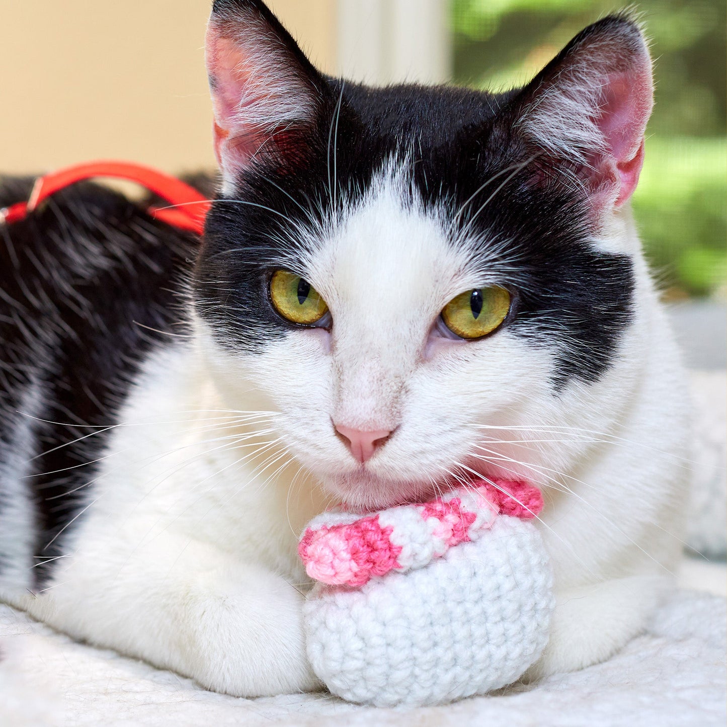 Ebi Nigiri Sushi Cat Toy