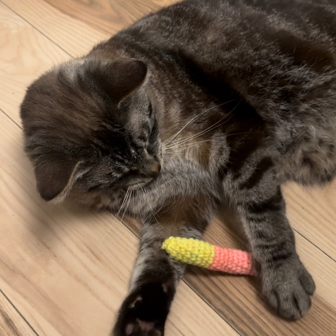 Gummy Worm Toy For Cats