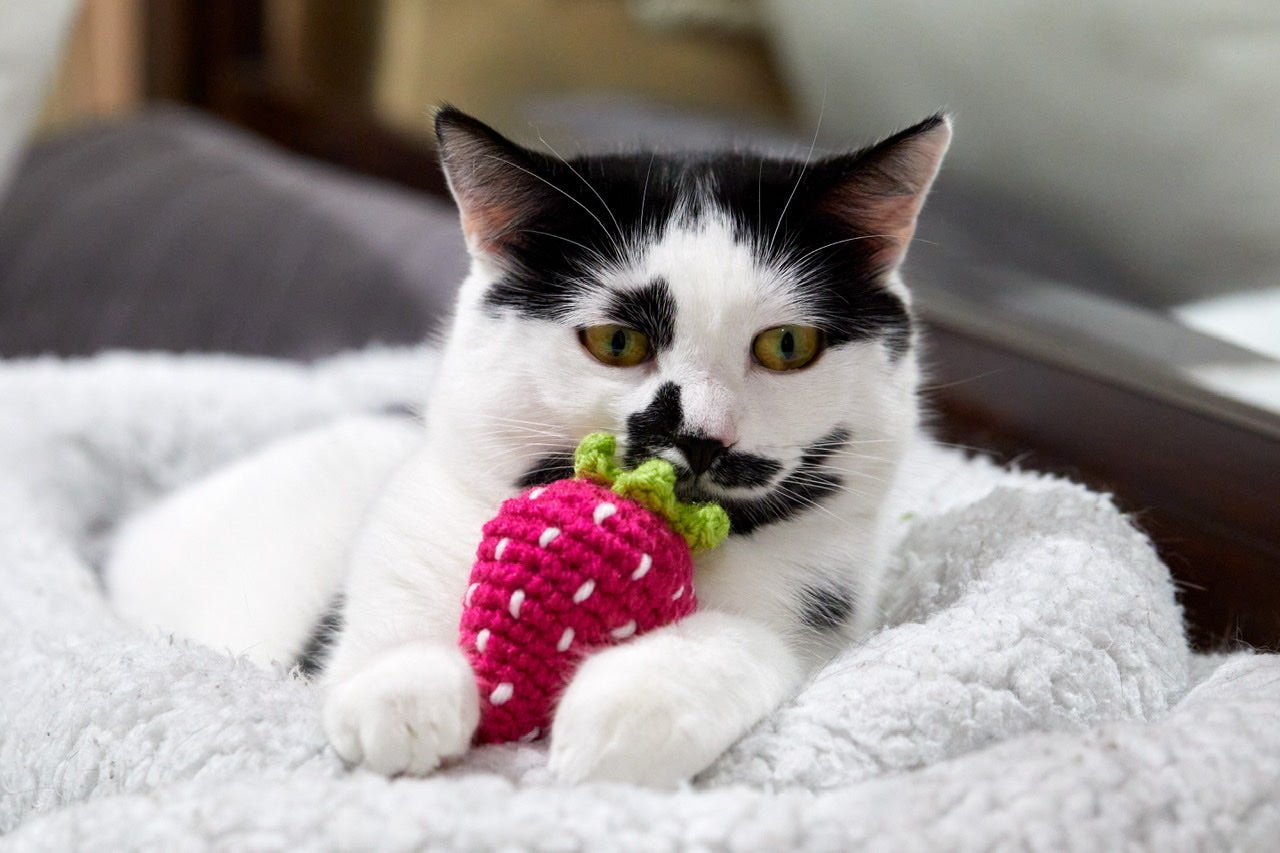 Strawberry Cat Toy - Brighter Sides