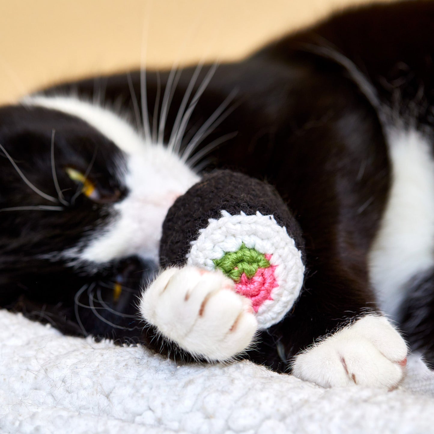 Sushi Roll Cat Toy - Brighter Sides