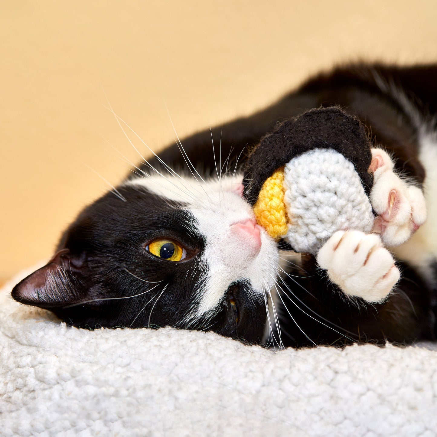 Tamago Nigiri Sushi Cat Toy - Brighter Sides