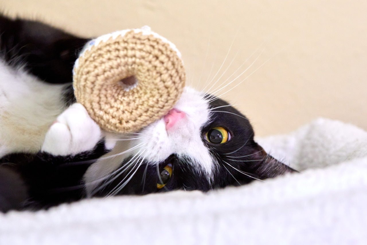 Vanilla Sprinkle Donut Catnip Toy