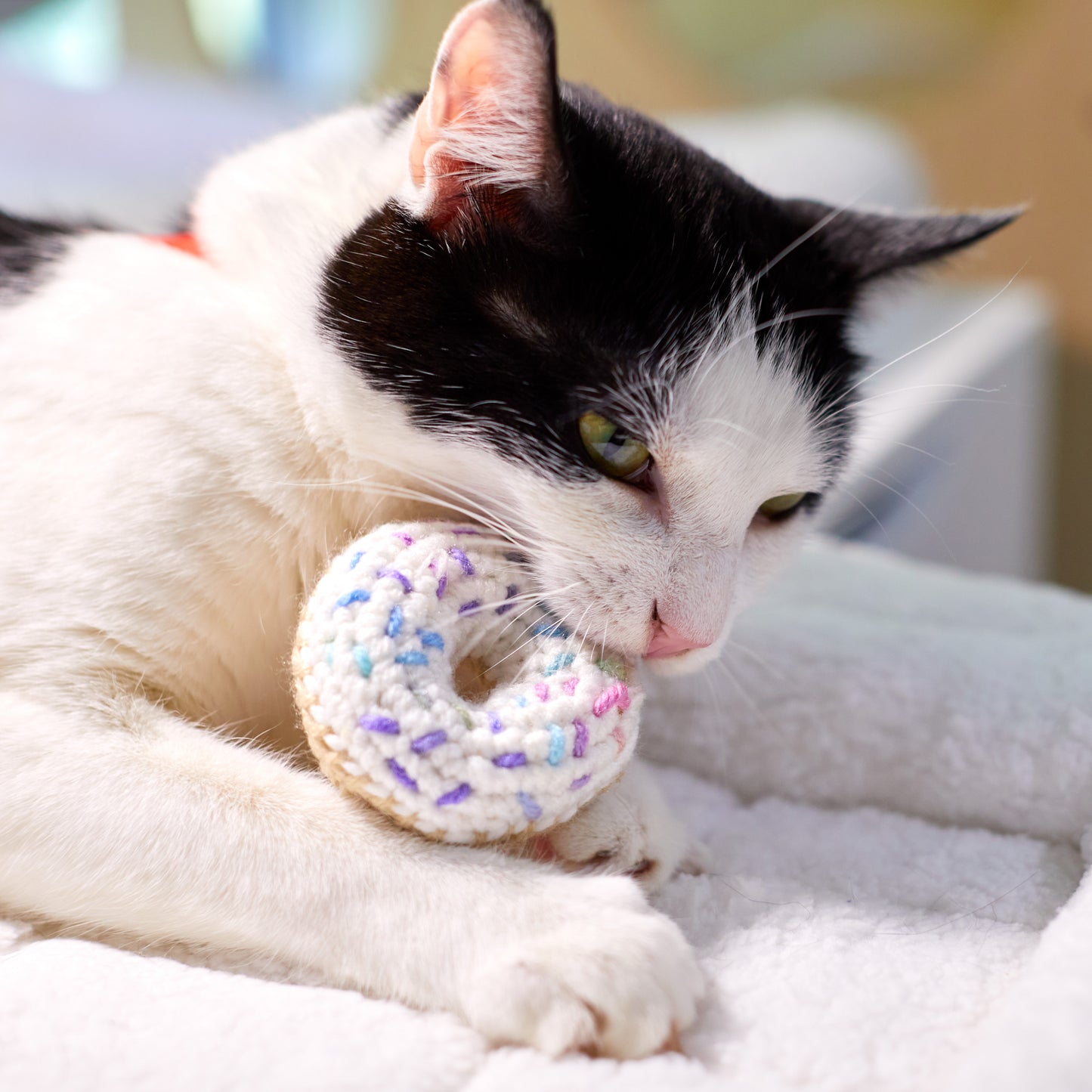 Vanilla Sprinkle Donut Catnip Toy