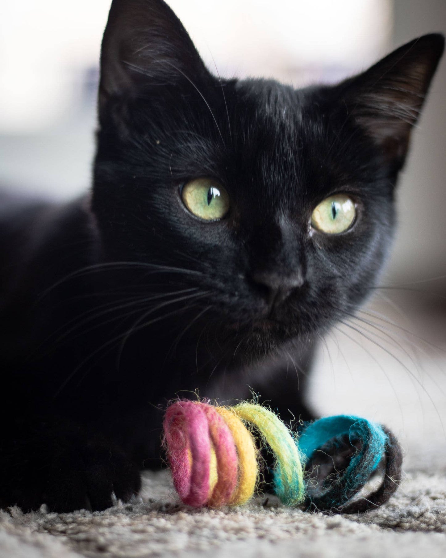 Rainbow Spring Eco Toy