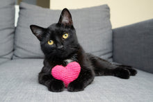 Load image into Gallery viewer, Hot Pink Heart Cat Toy
