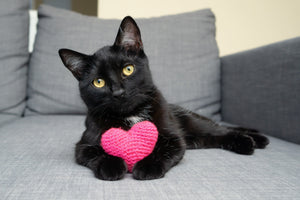 Hot Pink Heart Cat Toy