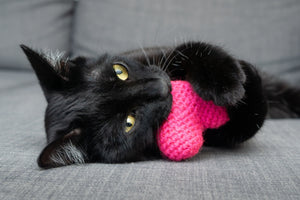 Hot Pink Heart Cat Toy