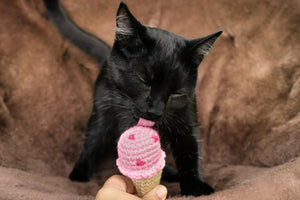 Strawberry Ice Cream Cat Toy