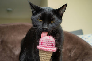 Strawberry Ice Cream Cat Toy