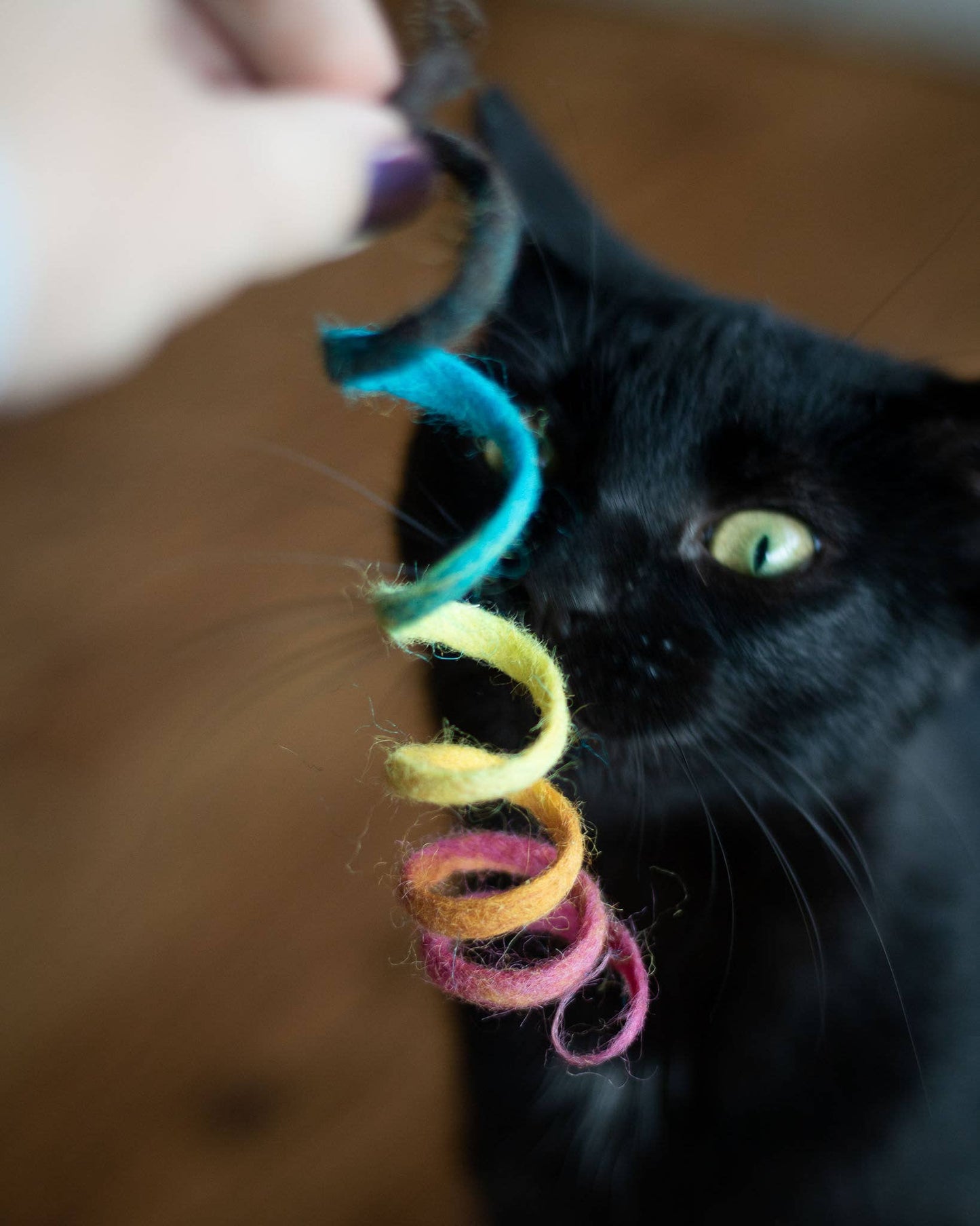 Rainbow Spring Eco Toy