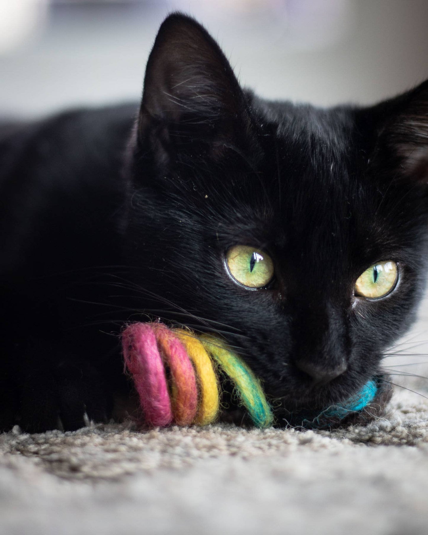 Rainbow Spring Eco Toy