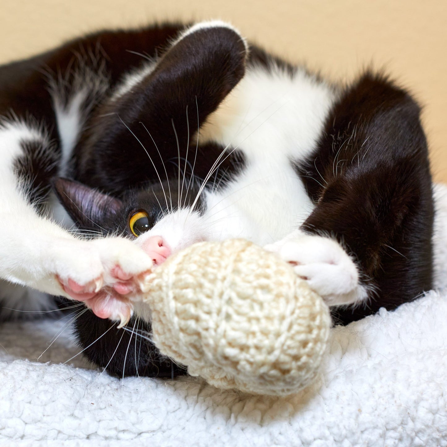 Ghost Pumpkin Cat Toy