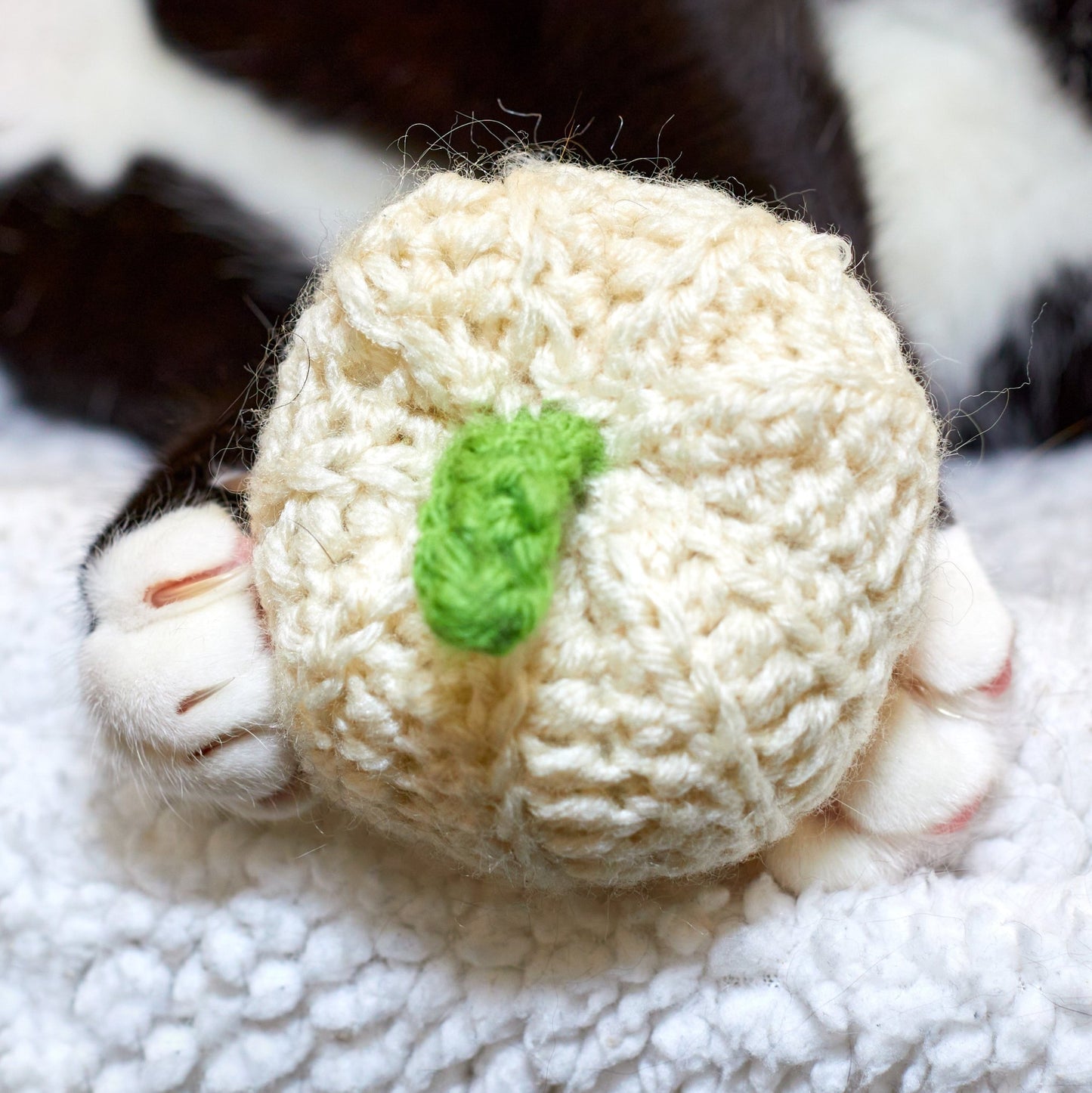 Ghost Pumpkin Cat Toy