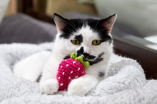 Load image into Gallery viewer, Strawberry Cat Toy - Brighter Sides
