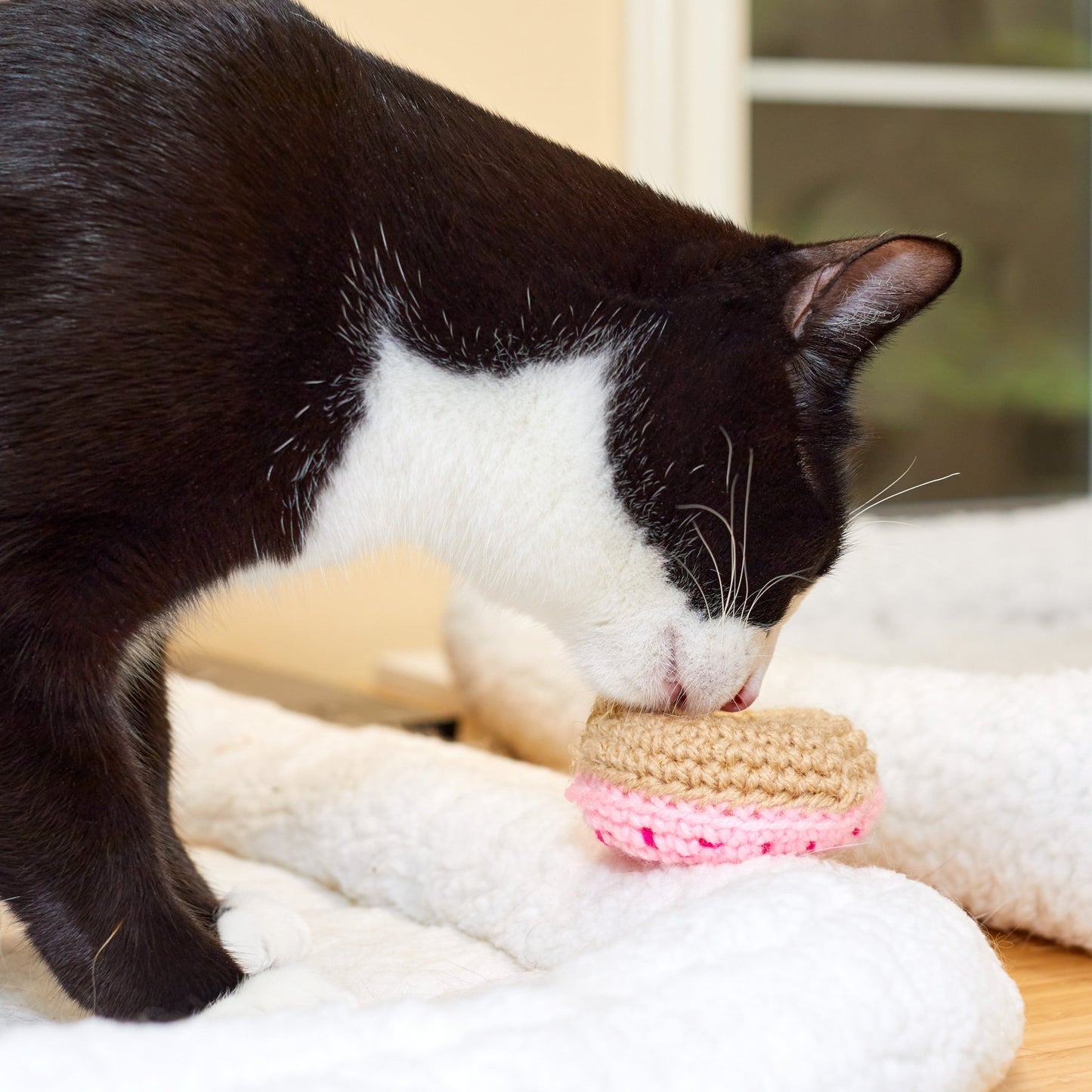 Strawberry Donut Cat Toy - Brighter Sides