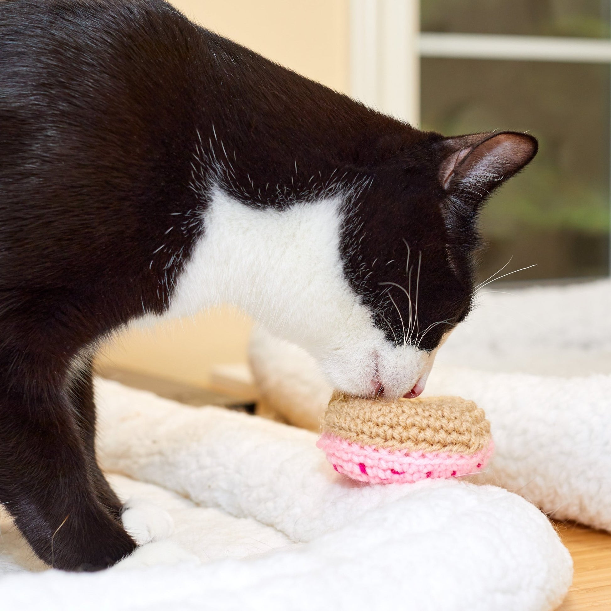 Strawberry Donut Cat Toy - Brighter Sides