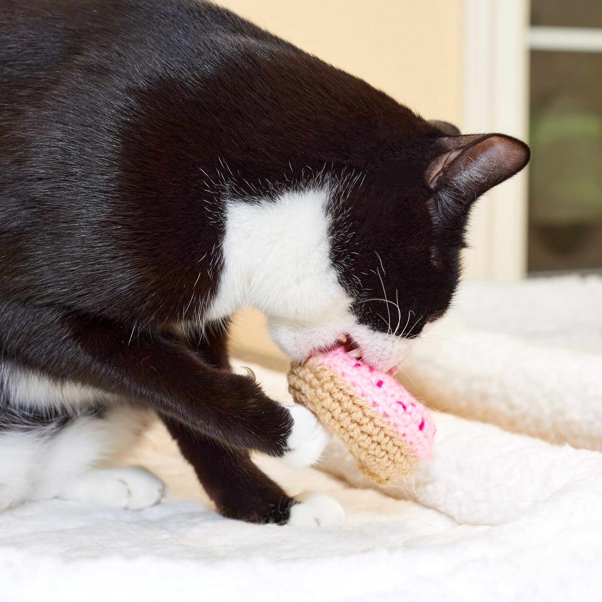 Strawberry Donut Cat Toy - Brighter Sides