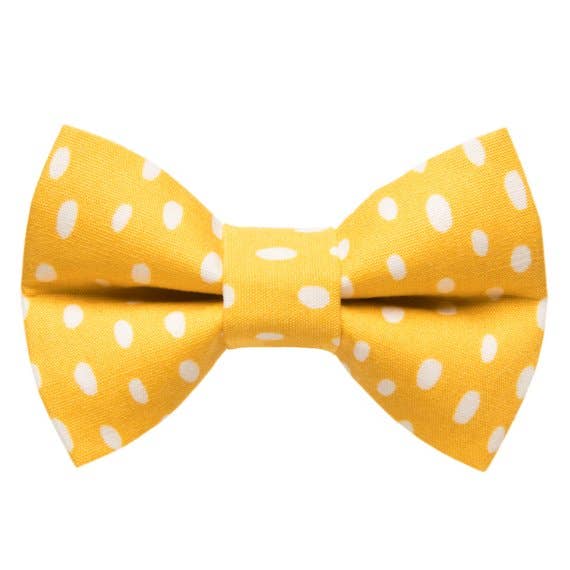 The Always Sunny in Pickle-delphia - Cat / Dog Bow Tie - Brighter Sides