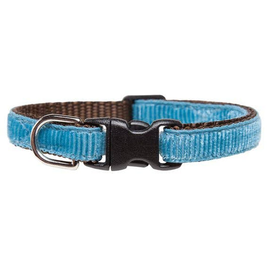 The Graduate - Cat Collar