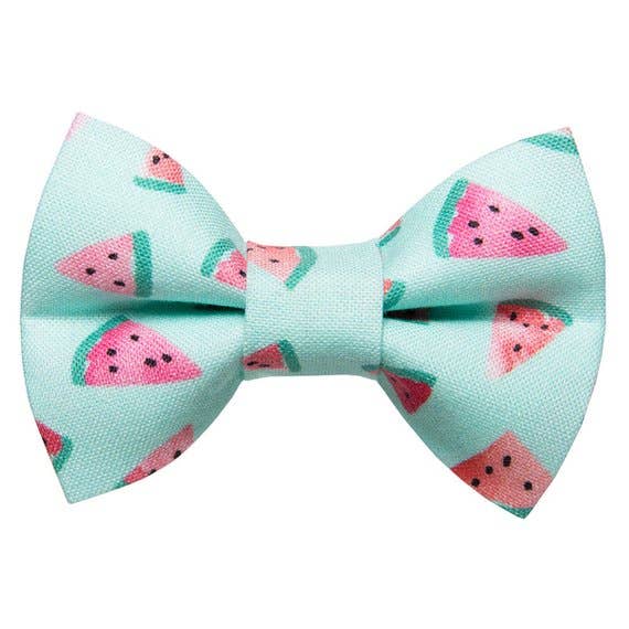 The One in a Melon - Cat Bow Tie