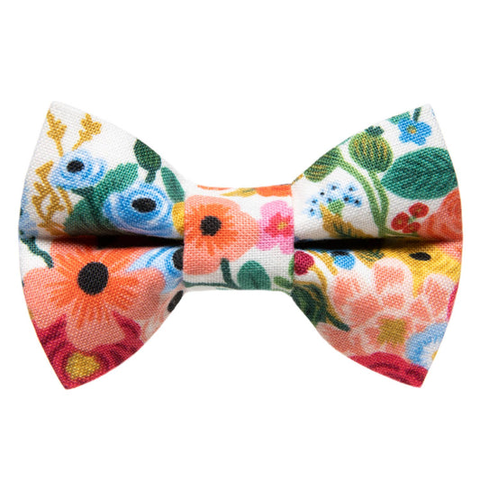 The Pathfinder - Cat Bow Tie