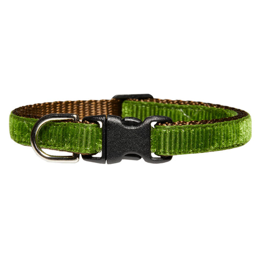 The Old School - Cat Collar