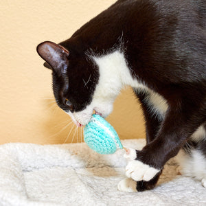 Aqua Macaron Cat Toy