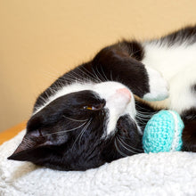 Load image into Gallery viewer, Aqua Macaron Cat Toy
