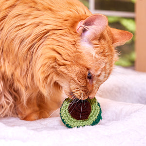 Wendell, the handsome orange cat enjoying his avocado shaped cat toy from Brighter Sides. Photo by Svetlana Popova.
