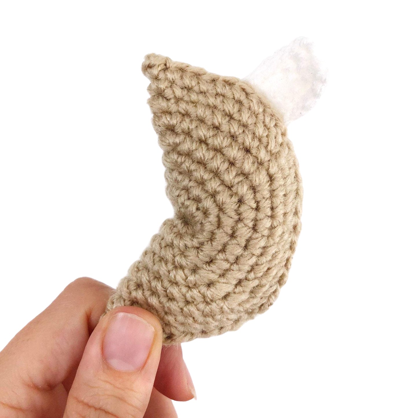 Fortune Cookie Cat Toy